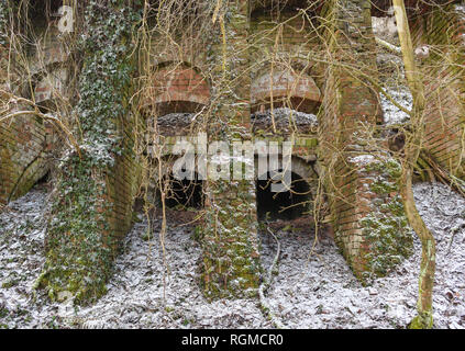 Sauen, Germany. 29th Jan, 2019. The ivy overgrown and partly collapsed building of the old steam brickworks. The Philipp Holzmann & Cie. steam tile factory, which is located in today's August Bier Foundation forest, started operations in 1891 and produced facing bricks, shaped bricks and roof tiles until 1912. Up to five different types of bats spend the winter every year in the vaults, some of which have already collapsed. These also include protected species such as the pug bat and the mouse ear. Credit: Patrick Pleul/dpa-Zentralbild/ZB/dpa/Alamy Live News Stock Photo