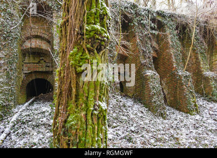 Sauen, Germany. 29th Jan, 2019. The ivy-covered and partially sunken building of the old steam brickworks Philipp Holzmann & Cie. The steam brickworks, which is located in the present forest of the August Bier Foundation, started operations in 1891 and produced facing bricks, shaped bricks and roof tiles until 1912. Up to five different types of bats spend the winter each year in the vaults, some of which have already collapsed. These also include protected species such as the pug bat and the mouse ear. Credit: Patrick Pleul/dpa-Zentralbild/ZB/dpa/Alamy Live News Stock Photo