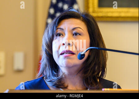 United States Representative Norma Torres (D-CA) seen speaking at the Center for Strategic and International Studies (CSIS) event on 'Future of the Rule of Law, CICIG, and Justice Reform in Guatemala' held in the Rayburn House Office Building in Washington, DC. Stock Photo