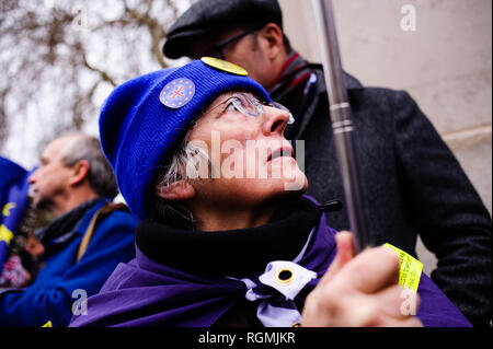 London, UK. 29th Jan, 2019. Anti-Brexit activists demonstrate outside the Houses of Parliament in central London. In the Commons, on a day of significant parliamentary activity over Brexit, MPs voted down a cross-party amendment tabled by Labour Party MP Yvette Cooper and Conservative Party MP Nick Boles designed to substantially reduce the risk of a much-feared ''no-deal'' exit from the EU. An amendment rejecting the principle of a no-deal exit was meanwhile approved, as was a government-backed amendment championed by Conservative Party MP Graham Brady calling for ''alternativ Stock Photo