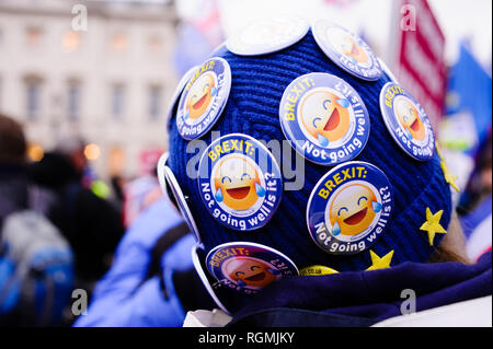 London, UK. 29th Jan, 2019. An anti-Brexit activist wearing a hat covered in buttons mocking the state of the Brexit process demonstrates outside the Houses of Parliament in central London. In the Commons, on a day of significant parliamentary activity over Brexit, MPs voted down a cross-party amendment tabled by Labour Party MP Yvette Cooper and Conservative Party MP Nick Boles designed to substantially reduce the risk of a much-feared ''no-deal'' exit from the EU. An amendment rejecting the principle of a no-deal exit was meanwhile approved, as was a government-backed amendme Stock Photo