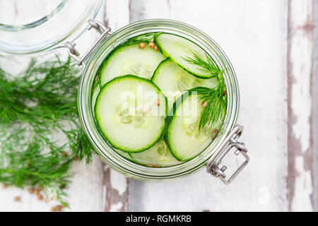 Pickled cucumber, swedish pressgurka, with dill and white peppercorns Stock Photo