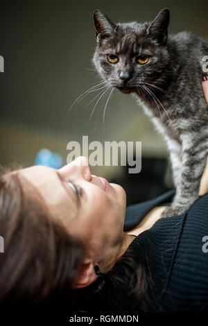 Portrait of grey tabby cat and owner at home Stock Photo