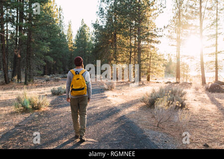 USA, North California, rear view of young man walking on a path in a forest near Lassen Volcanic National Park Stock Photo