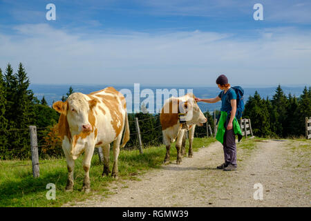 Germany, Upper Bavaria, Chiemgau, Young hiker stroking cow on a pasture