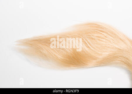 Blond natural hair extensions isolated on white background. Clipping patch, copy space Stock Photo