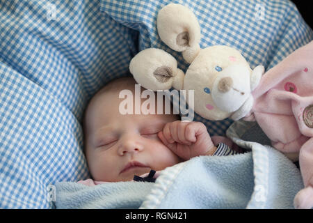 Portrait of sleeping baby girl with toy bunny Stock Photo