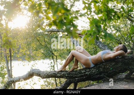 Relaxed woman wearing a bikini lying on a tree trunk at a lake Stock Photo
