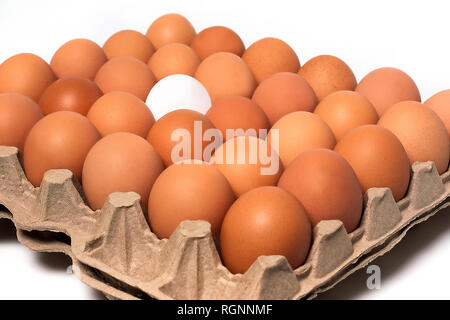 Brown white fresh chicken eggs in paperboard container isolated on white background Stock Photo