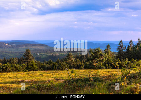 panorama view over Northern Black Forest and the Black Forest High Road, Germany, mountain Schliffkopf, district of Freudenstadt, area of Baiersbronn Stock Photo