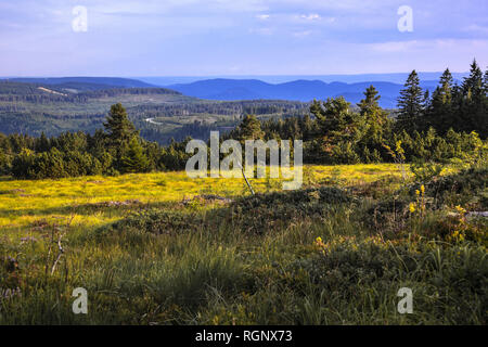 panorama view over Northern Black Forest and the Black Forest High Road, Germany, mountain Schliffkopf, district of Freudenstadt, area of Baiersbronn Stock Photo