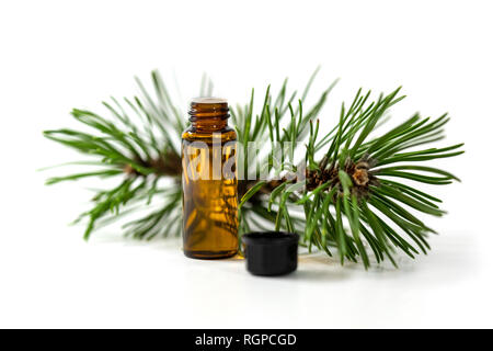 pine essential oil bottle and tree branch isolated on white background Stock Photo