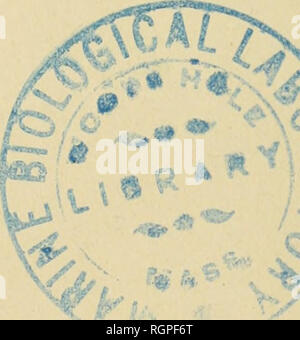 . Bulletin de la Société royale de botanique de Belgique. Société royale de botanique de Belgique; Botany. ( û57 ) Veronica persica Poir,, IX, 361. — prostrata L., IX, 343. — serpyllifolia L., X, 169. Vicia varia Host, VI, 384-. Vincetoxicum laxum Bartl.,VII, 91, Viola Riviniana Rchb., VI, 25S. — sabulosa Dinrt., VII, 3o3. Viscum album L., VI, 24.S. Vulpia reclinata Dmrt., IX, 380. IV. TABLE DES ESPÈCES QUI ONT FAIT L OBJET DE REMARQUES TÉRATOLOGIQUES. Lychnis Flos-ciiculi L., t. X, p. 246. OrchisiistulataL., VI, 192. Plantago major L., VI, 381. — maxima Jacq., VI, 380. Prunus spinosa L,, X, 2 Stock Photo