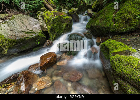 Photo of Beautiful Waterfall in deep forest at Waterfall in Himalayas, Great Himalayan National Park, Sainj Valley, Himachal Pradesh, India Stock Photo