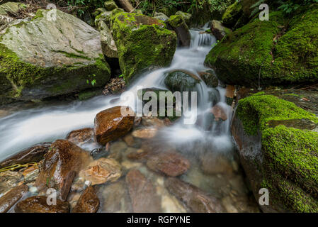 Photo of Beautiful Waterfall in deep forest at Waterfall in Himalayas, Great Himalayan National Park, Sainj Valley, Himachal Pradesh, India Stock Photo