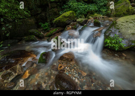 Photo of Beautiful Waterfall in deep forest at Waterfall in Himalayas, Great Himalayan National Park, Sainj Valley, Himachal Pradesh, India Stock Photo