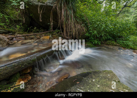 Photo of Beautiful Waterfall in deep forest at Waterfall in Himalayas, Great Himalayan National Park, Sainj Valley, Himachal Pradesh, India Stock Photo