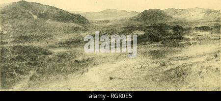 . Bulletin de la SociÃ©tÃ© royale de botanique de Belgique. SociÃ©tÃ© royale de botanique de Belgique; Botany. BULLETIN DE LA SOCIÃTÃ KOVALE DE BOTANIQUE DE BELGIQUE. T. XLIII. Dunes fixÃ©es.. Phot. 35. Dunes Ã Lombartzvde. â DÃ©cembre 1892.. Please note that these images are extracted from scanned page images that may have been digitally enhanced for readability - coloration and appearance of these illustrations may not perfectly resemble the original work.. SociÃ©tÃ© royale de botanique de Belgique. [Bruxelles] : La SociÃ©tÃ© Stock Photo