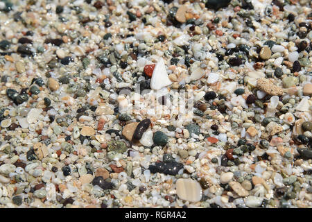 wet colored pebbles mixed with shells, pink hue Stock Photo
