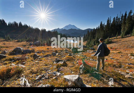 Rainier is a National Park in Washington State Stock Photo