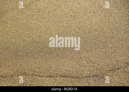 Green and golden beach sand texture close-up from Papakolea Green Sand Beach. Stock Photo