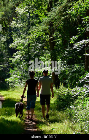 Couple walking with Labrador Retriever Stock Photo