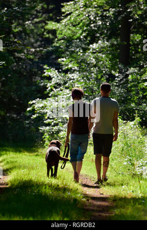 Couple walking with Labrador Retriever Stock Photo