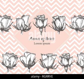 Cute valentines day or label card with Rose flower sketch in engraving style Vintage vector illustration Lovely background. Typography design. Letteri Stock Vector