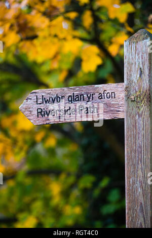 An old weatheredwooden finger post wirh bilingual Welsh and English words for Llwybr Glan yr Afon / Riverside Path, with autumn leaves in the background. Wales UK Stock Photo