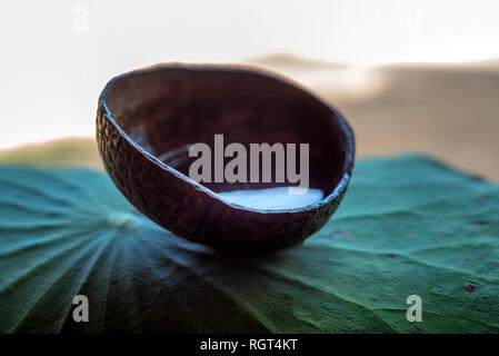Coconut milk splash in an empty shell close up Stock Photo