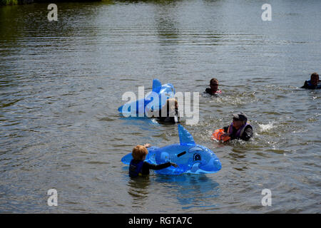 Newfoundland Rescue Dogs in action Poolsbrook country park Derbyshire Stock Photo
