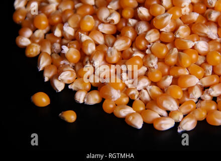 Corn seeds isolated on black background Stock Photo