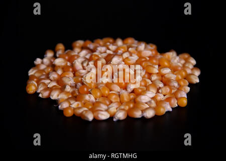 Corn seeds isolated on black background Stock Photo