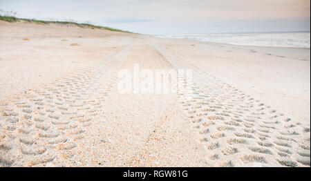 Tire tread marks in the sand leading off into the distance on the beach. Stock Photo