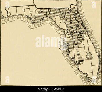 . Bulletin. Insects; Insect pests; Entomology; Insects; Insect pests; Entomology. 26 WHITE FLIES INJURIOUS TO CITRUS IN FLORIDA. or less extent. (See fig. 1.) The 17 counties referred to, arranged in order of the number of bearing citrus trees, is as follows: Orange, Lake, Volusia, Polk, Putnam, Brevard, Hillsboro, De Soto, Lee, Manatee, Dade, Marion, St. Lucie, Osceola, Sumter, St. John, and Alachua. Palm Beach as well as Dade and Monroe Counties are infested with the cloudy-winged white fly, as hereafter noted, but so far as known the citrus white fly does not occur there. In order of the pe Stock Photo