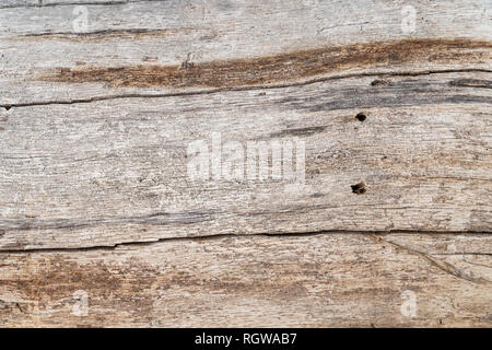 Texture of the old pine boards with cracks Stock Photo