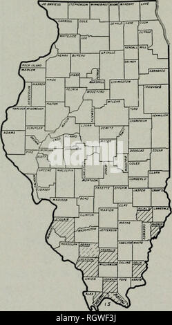 . Bulletin. Natural history; Natural history. Illinois Natl-ual Histouy Sikvky Bn.i.ETiN POPULUS HETEROPHYLLA Linnaeus Swamp Cottonwood Black Cottonwood The Swani]! Cottonwood is a small tree, with a few irregularly ar- ranged, large limbs which form a narrow. o])en, roun(l-topj)e(l crown. The thin, firm leaves, which are at first densely hairy but later become dark-green and smooth above and ])aler and woolly beneath, are broadly ovate, with rather oljtuse points, round or heart-shaped bases, and fine- ly toothed margins. The stout, dense- ly flowered staminate catkins, which appear in April  Stock Photo