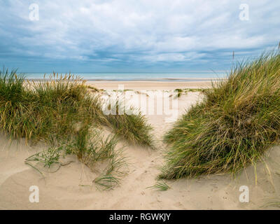 Small path leading over marram grass covered dunes towards the North Sea at Bray-Dunes Stock Photo