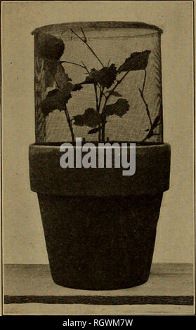 Earthen pots on a table in pottery workshop Stock Photo - Alamy