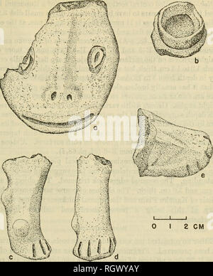 . Bulletin. Ethnology. Evans and Meggers] ARCHEOLOGY IN BRITISH GUIANA 313. Z CM Figure 123.—Modeled sherds from habitation sites of the Rupununi Phase, a, Fragment of a figurine head or adorno. b, Applique ring, c-d. Figurine legs, probably animal. e, Figurine foot. ent in style from that from 11-6, and suggested to the workman an animal rather than a human form. Another Kanuku Plain fragment from R-40 is part of a face (fig. 123, a). The long, low, narrow nose expands at the base to encompass deep punctates forming the nostrils. A wide mouth is drawn by a thin incision running from side to s Stock Photo