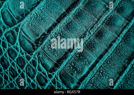 Texture of genuine leather close-up, embossed under the skin crocodile, green color print, trendy background Stock Photo