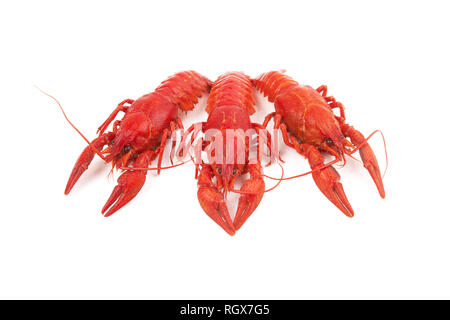three boiled crayfish on a white background Stock Photo