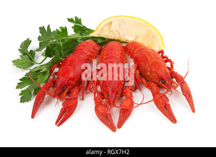 three boiled crayfish on a white background Stock Photo