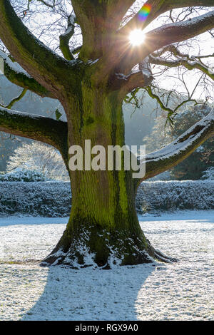 Castle Park House in the grounds of Castle Park, Frodsham, Cheshire, England after a fall of snow on 30 January 2019 Stock Photo