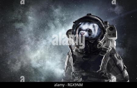 Astronaut ferret wearing space suit against starry sky. Mixed media Stock Photo