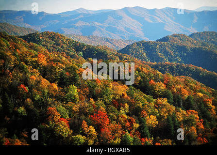 Fall foliage,Great Smoky Mountain National Park,Tennessee Stock Photo