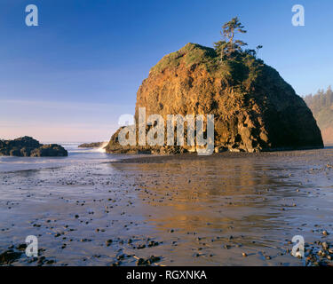 USA, Oregon, Evening light on small island above wet beach with scattered rocks, near Oceanside. Stock Photo