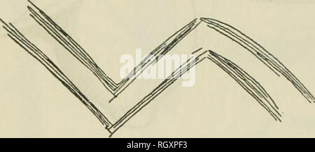 . Bulletin. Ethnology. 82 BUREAU OF AMERICAN ETHNOLOGY [Bdll. 139 It is of interest to note, in this connection, that the sherd d bears an incised design identical with one figured by Lothrop (1933) from Salcaja. The fragment c is part of a cylindrical seal made of the same red clay as the &quot;archaic&quot; Tres Zapotes figurines (pis. 1-15). What makes the specimen remarkable is the human figure in relief done in the style known as that of Los Danzantes, the famous sculptured slabs which Dr. Caso (1935) has shown to belong to the earliest period of Monte Alban.. Please note that these image Stock Photo