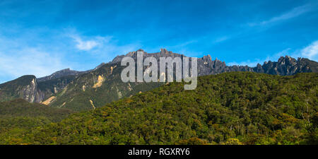 Mount Kinabalu summit and peaks in sunrise light, viewed from Mesilau, Sabah, Borneo, Malaysia, with forest slopes in the foreground. Stock Photo