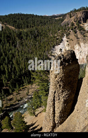 WYOMING - A basaltic column along the canyon walls above the Yellowstone River from the Yellowstone River Picnic Area Trail in Yellowstone Natl. Park. Stock Photo